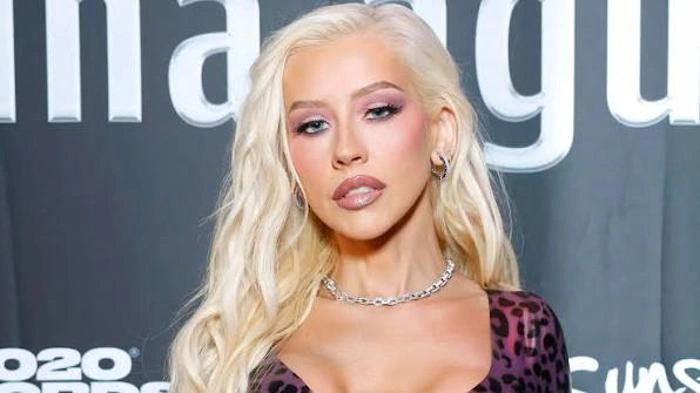 Christina Aguilera Net Worth & Sources of Income