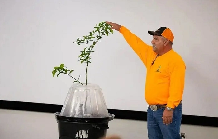 Tree T Pee 2