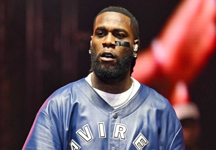 Burna Boy Net Worth Growth