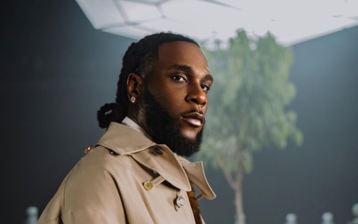 Burna Boy Tour Earnings
